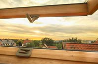 rated Lockton roof window companies